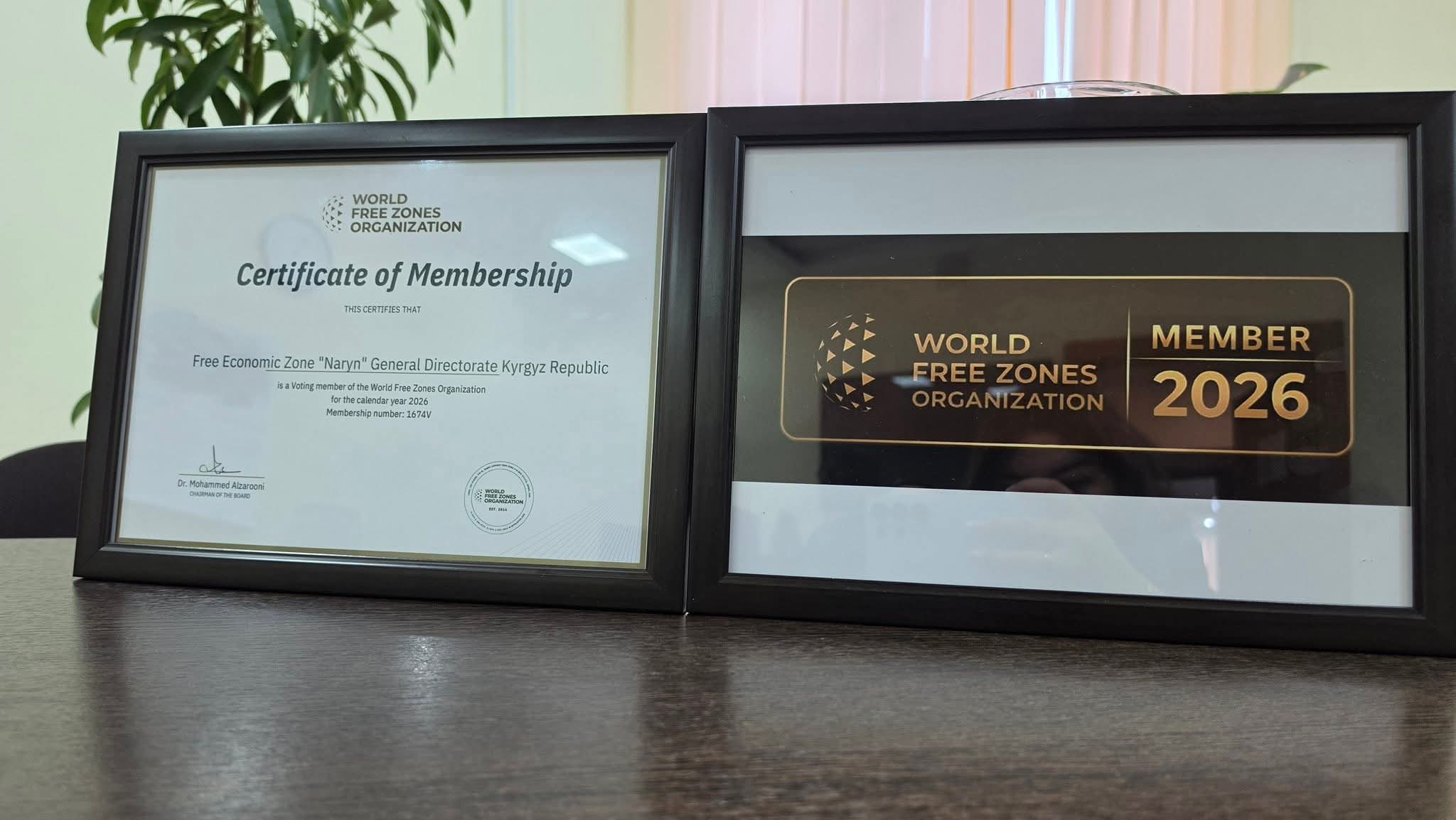 World Free Zones Organization Certificate